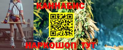 гидра Пушкино