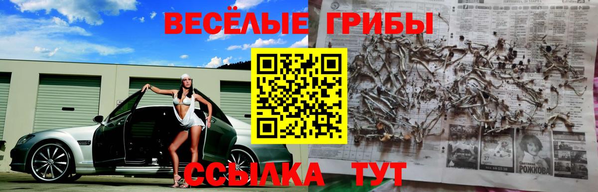 Псилоцибиновые грибы MAGIC MUSHROOMS  где найти   Шали  Вход с VPN 