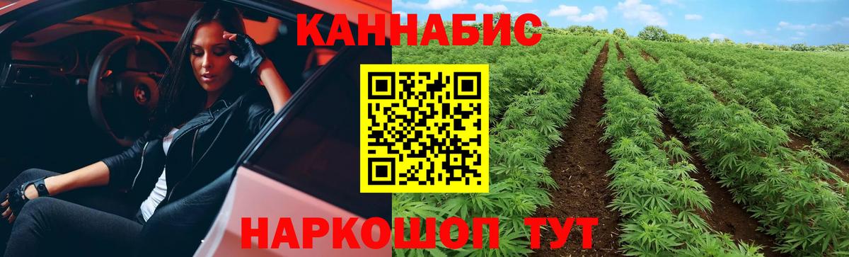 Марихуана семена  Вход с VPN  Каннабис OG Kush  Шишки марихуана планчик  Марихуана тримм  Шали 